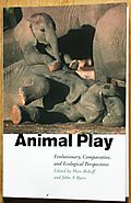 Animal play