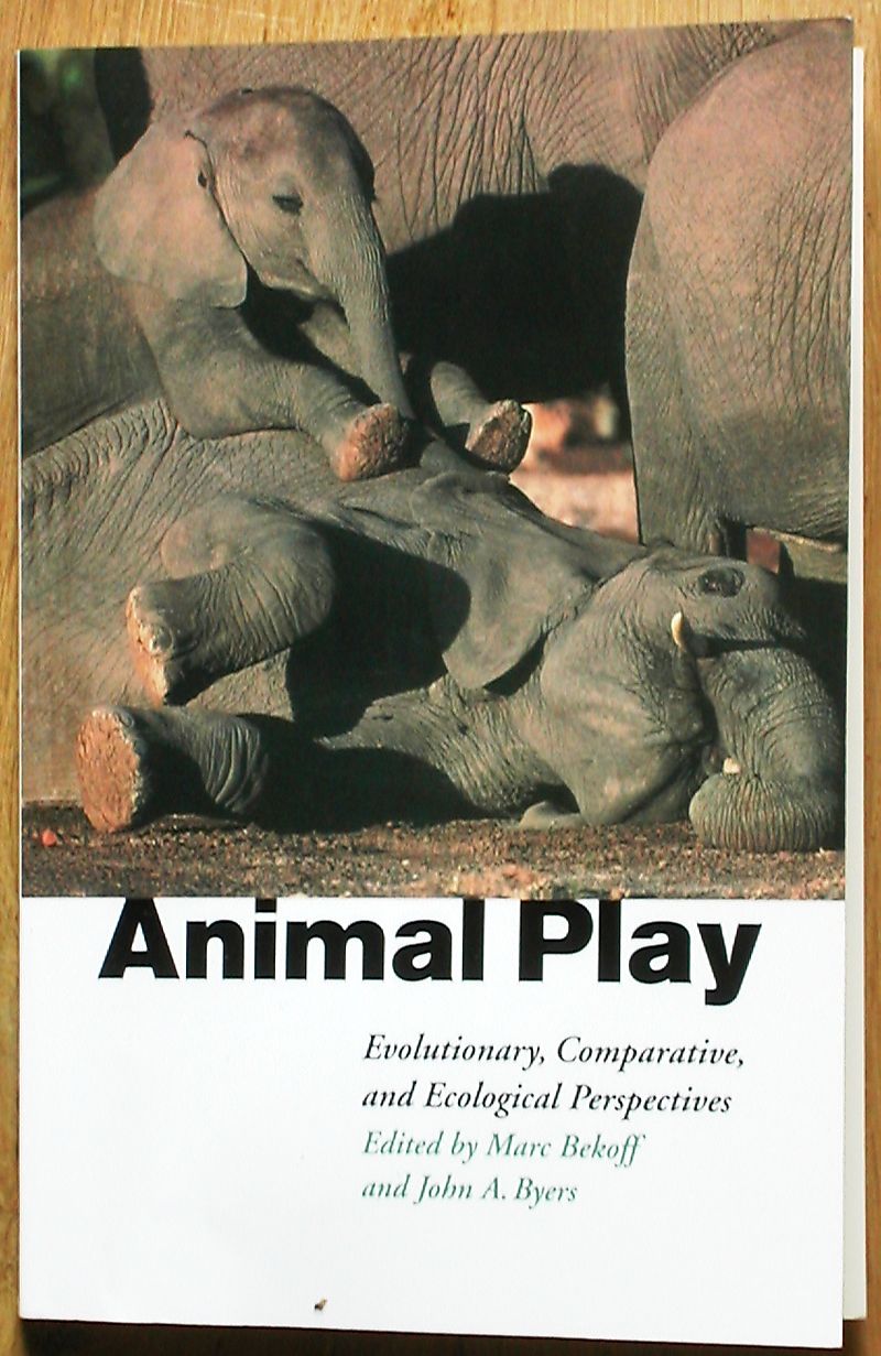 Animal play