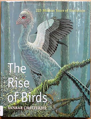 Rise of birds