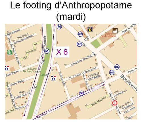 Le footing d’Anthropopotame