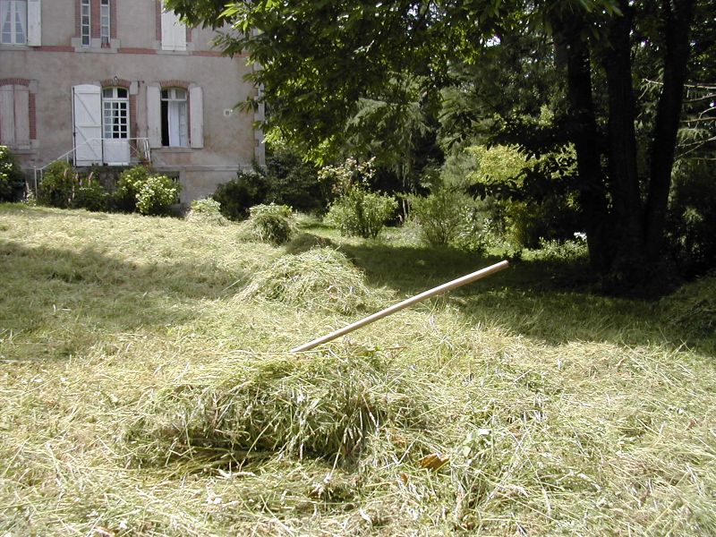 Après la fauche