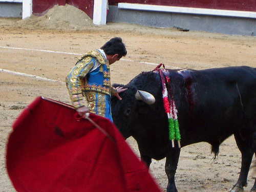 Plaza de toros